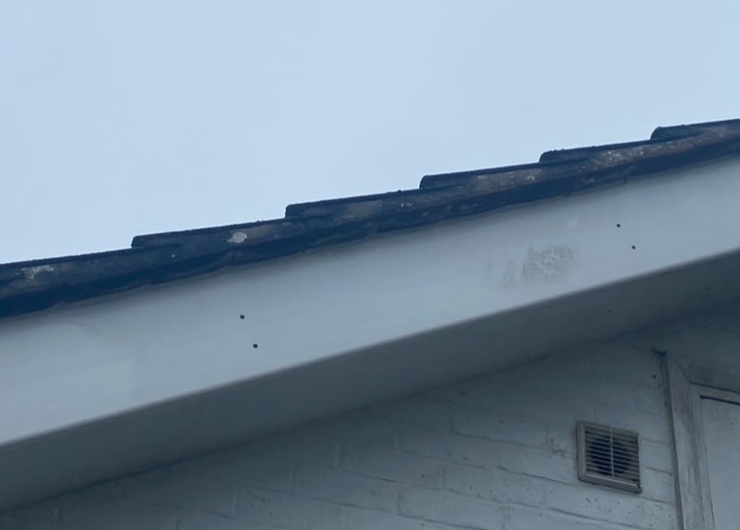 Guttering and downpipe along a roofline